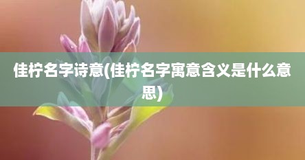佳柠名字诗意(佳柠名字寓意含义是什么意思)