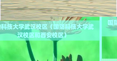 国防科技大学武汉校区(国防科技大学武汉校区和西安校区)