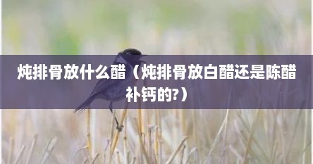 炖排骨放什么醋（炖排骨放白醋还是陈醋补钙的?）