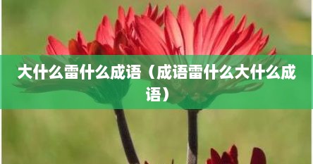 大什么雷什么成语（成语雷什么大什么成语）