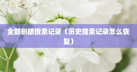 全部删除搜索记录（历史搜索记录怎么恢复）