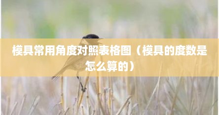 模具常用角度对照表格图（模具的度数是怎么算的）