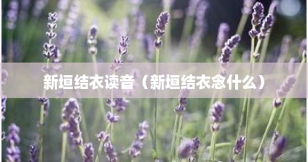 新垣结衣读音（新垣结衣念什么）
