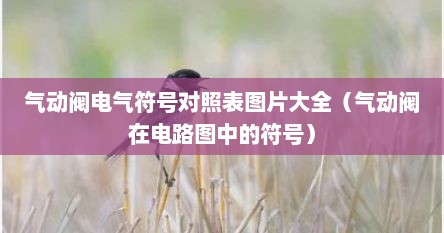 气动阀电气符号对照表图片大全（气动阀在电路图中的符号）