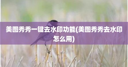 美图秀秀一键去水印功能(美图秀秀去水印怎么用)