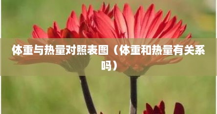 体重与热量对照表图（体重和热量有关系吗）