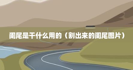 阑尾是干什么用的（割出来的阑尾图片）