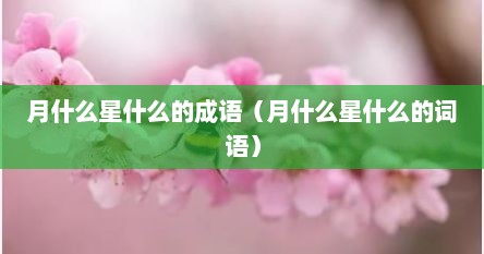 月什么星什么的成语（月什么星什么的词语）