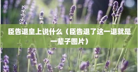 臣告退皇上说什么（臣告退了这一退就是一辈子图片）