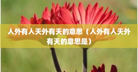 人外有人天外有天的意思（人外有人天外有天的意思是）