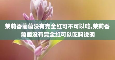 茉莉香葡萄没有完全红可不可以吃,茉莉香葡萄没有完全红可以吃吗说明