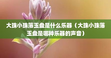 大珠小珠落玉盘是什么乐器（大珠小珠落玉盘是哪种乐器的声音）