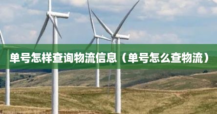 单号怎样查询物流信息（单号怎么查物流）