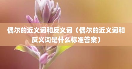 偶尔的近义词和反义词（偶尔的近义词和反义词是什么标准答案）
