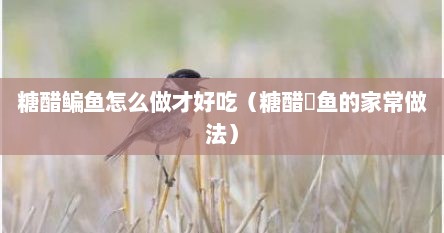 糖醋鳊鱼怎么做才好吃（糖醋鮰鱼的家常做法）