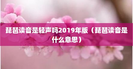 琵琶读音（琵琶发音是什么样的声音）