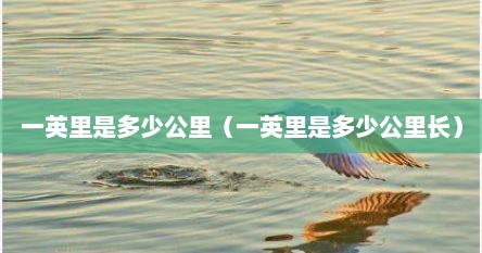 一英里是多少公里（一英里是多少公里长）