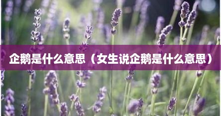 企鹅是什么意思（女生说企鹅是什么意思）