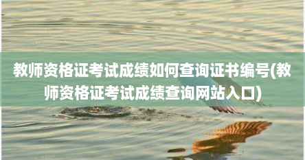 教师资格证考试成绩如何查询证书编号(教师资格证考试成绩查询网站入口)