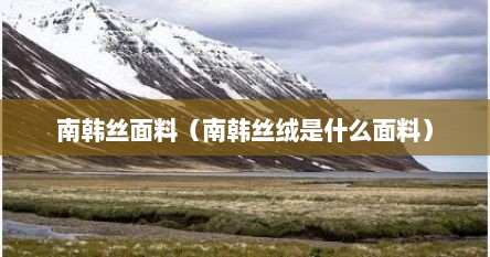 南韩丝面料（南韩丝绒是什么面料）