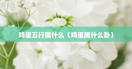 鸡蛋五行属什么（鸡蛋属什么卦）