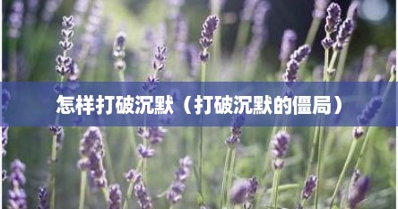 怎样打破沉默（打破沉默的僵局）