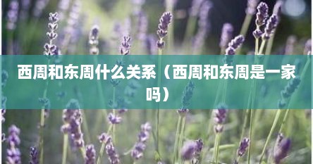 西周和东周什么关系(西周和东周是一家吗)