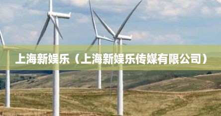 上海新娱乐（上海新娱乐传媒有限公司）