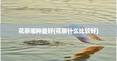 花茶哪种最好(花茶什么比较好)