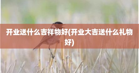开业送什么吉祥物好(开业大吉送什么礼物好)