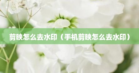 剪映怎么去水印（手机剪映怎么去水印）