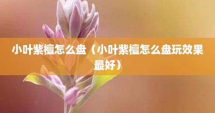 小叶紫檀怎么盘（小叶紫檀怎么盘玩效果最好）