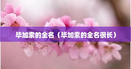 毕加索的全名（毕加索的全名很长）