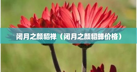 闭月之颜貂禅（闭月之颜貂蝉价格）