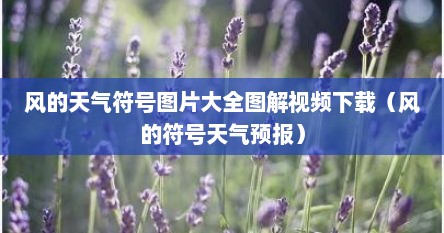 风的天气符号图片大全图解视频下载（风的符号天气预报）