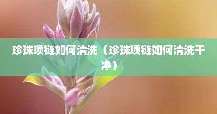 珍珠项链如何清洗（珍珠项链如何清洗干净）
