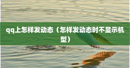 qq上怎样发动态（怎样发动态时不显示机型）