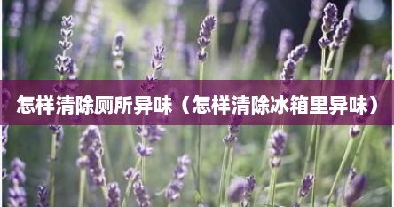 怎样清除厕所异味（怎样清除冰箱里异味）