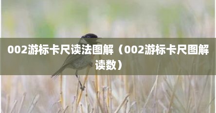 002游标卡尺读法图解（002游标卡尺图解读数）