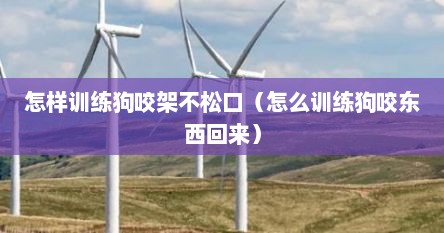 怎样训练狗咬架不松口（怎么训练狗咬东西回来）