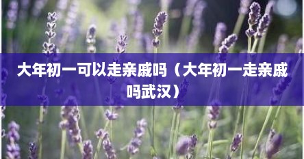 大年初一可以走亲戚吗（大年初一走亲戚吗武汉）