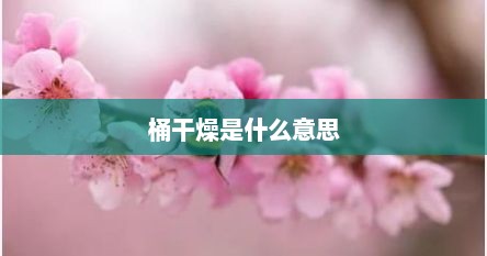 桶干燥是什么意思