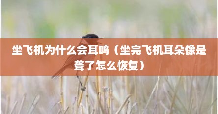 坐飞机为什么会耳鸣（坐完飞机耳朵像是聋了怎么恢复）
