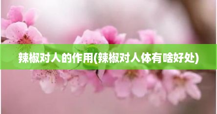 辣椒对人的作用(辣椒对人体有啥好处)