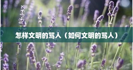 怎样文明的骂人（如何文明的骂人）