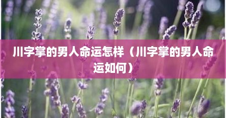 川字掌的男人命运怎样（川字掌的男人命运如何）