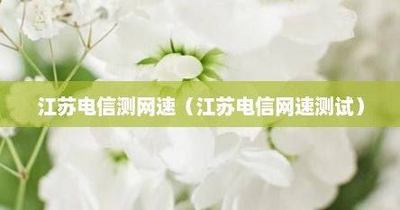 江苏电信测网速（江苏电信网速测试）