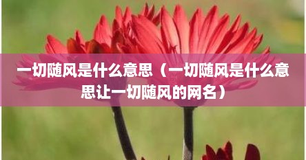 一切随风是什么意思（一切随风是什么意思让一切随风的网名）