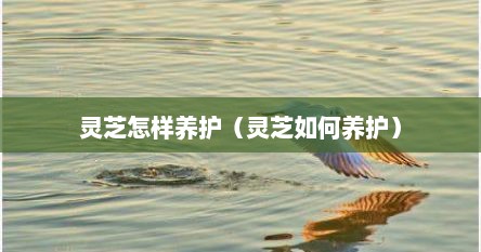 灵芝怎样养护（灵芝如何养护）