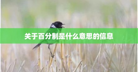 关于百分制是什么意思的信息